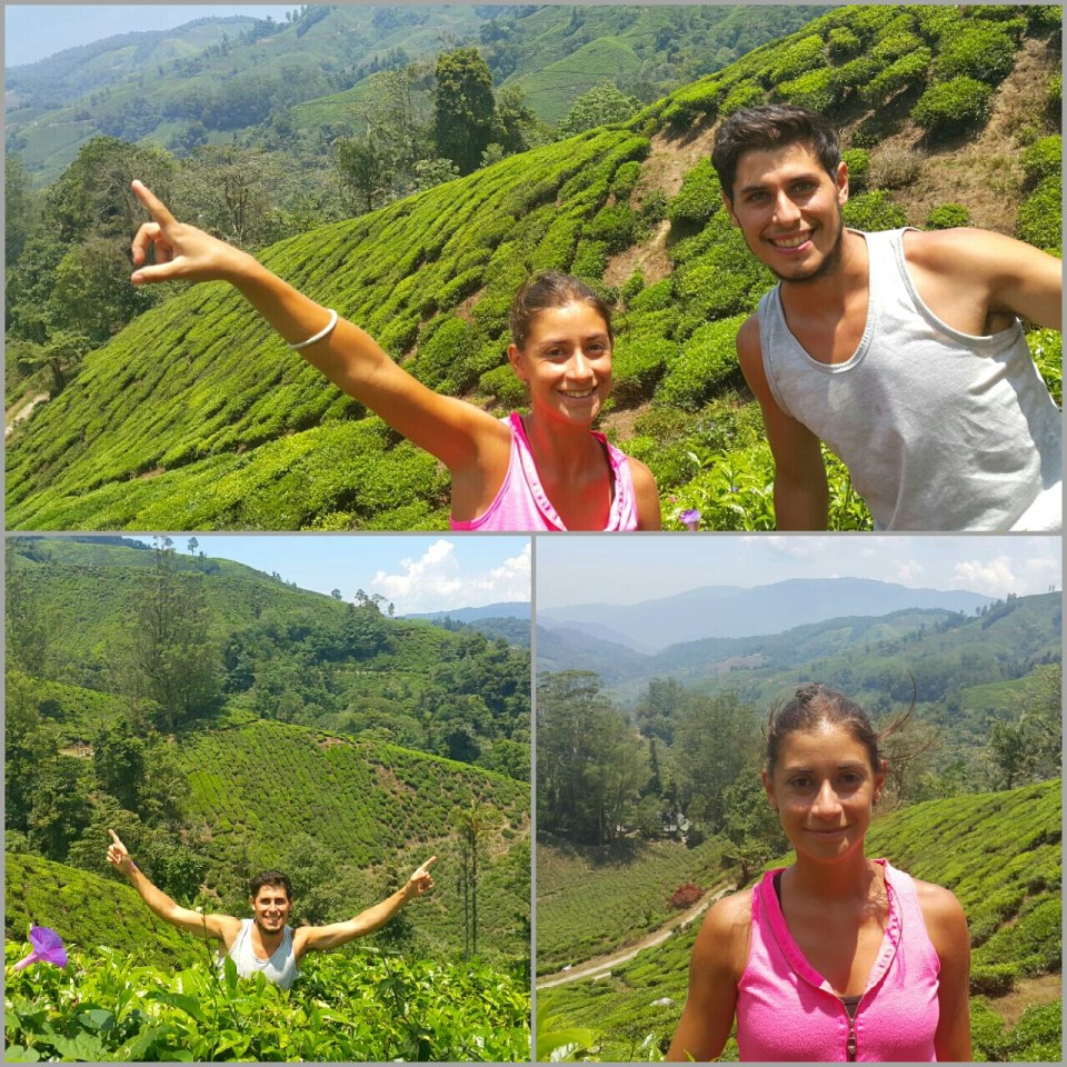 2017-05-16 21.30.21.jpg