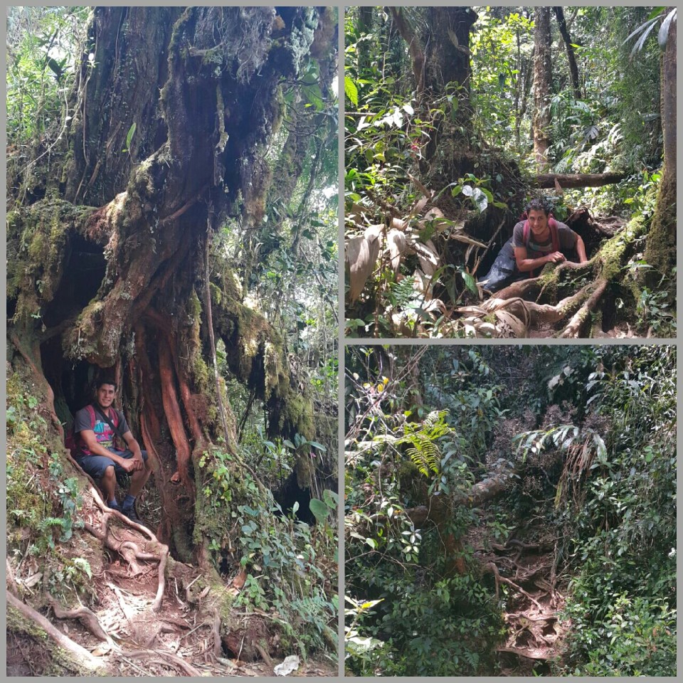 2017-05-16 21.33.27.jpg