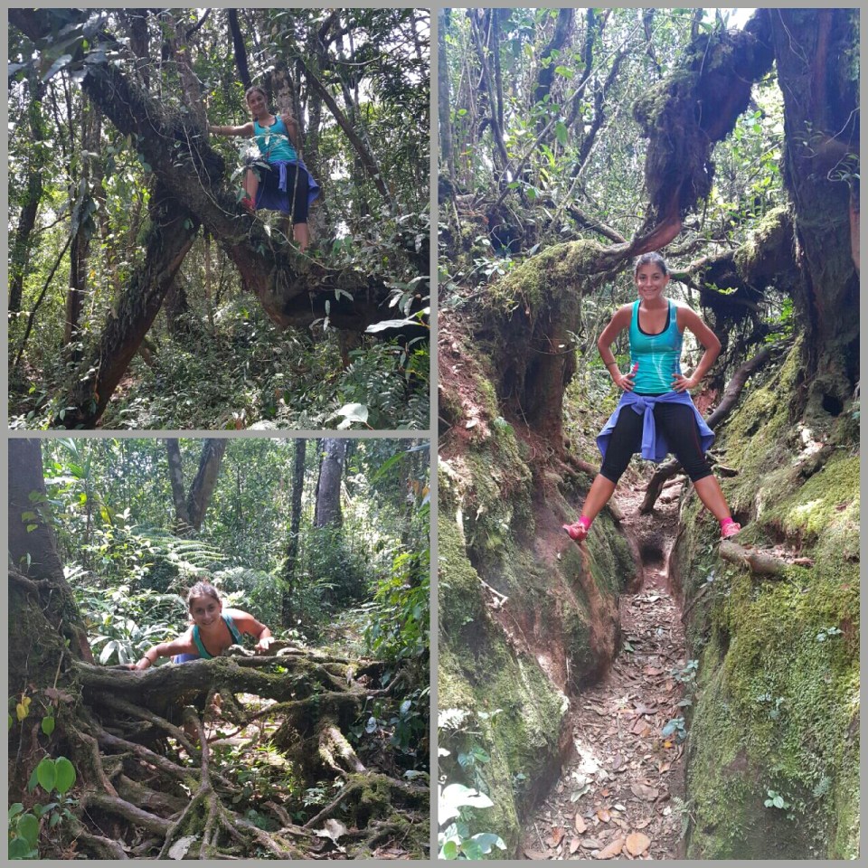 2017-05-16 21.34.28.jpg