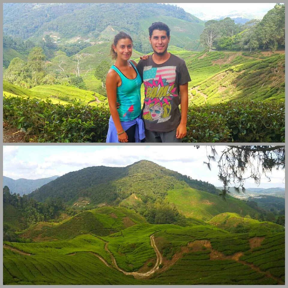 2017-05-16 21.37.01.jpg