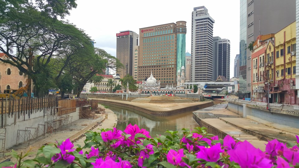 2017-06-12 17.17.50.jpg