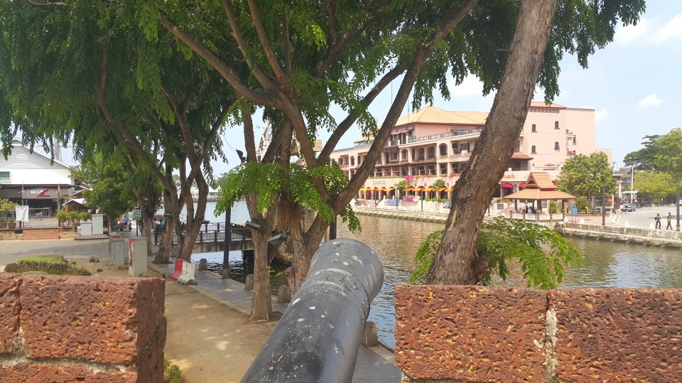 2017-07-21 19.40.51.jpg