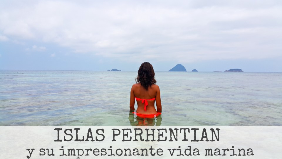 PicsArt_10-05-03.05.54