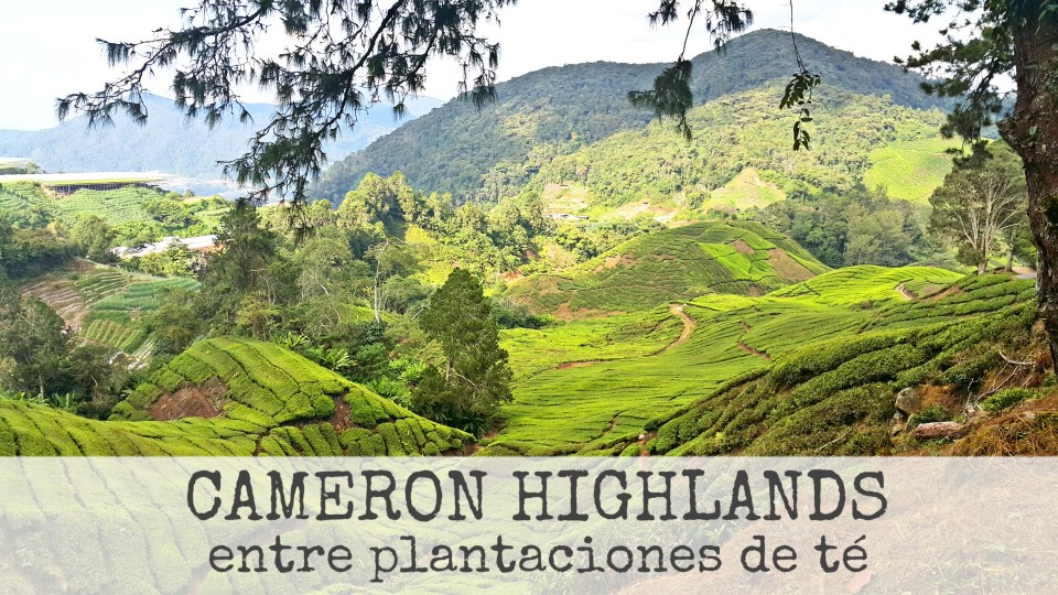 PicsArt_10-05-03.10.02