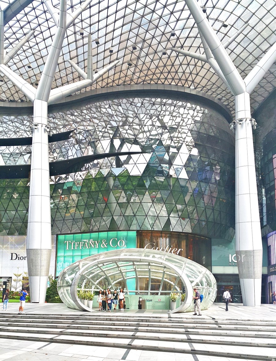 PicsArt_10-09-03.56.34