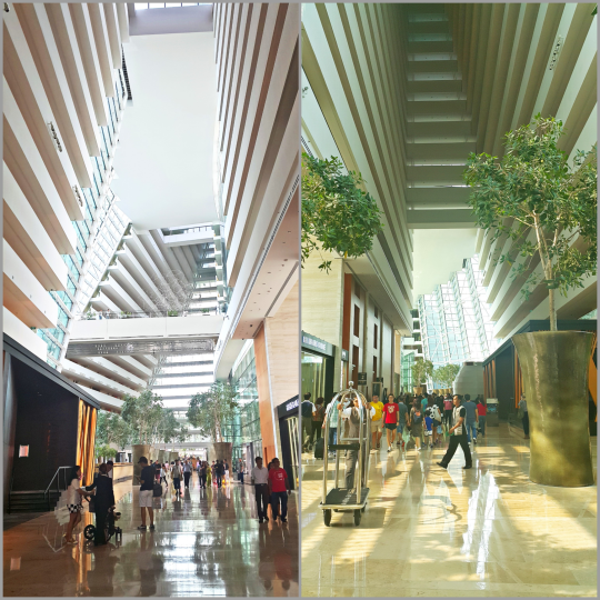 PicsArt_10-10-02.07.12