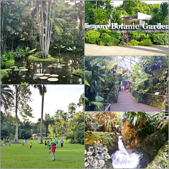 PicsArt_10-10-02.15.19