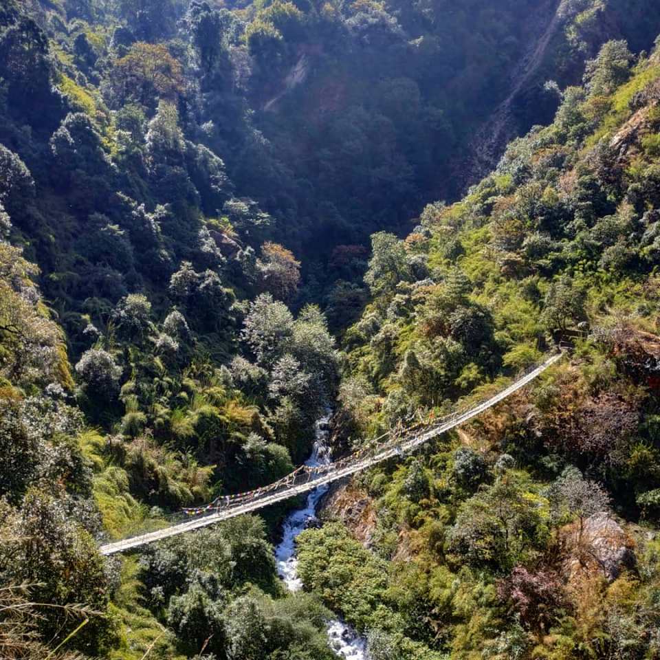 IMG_20181105_200219_884