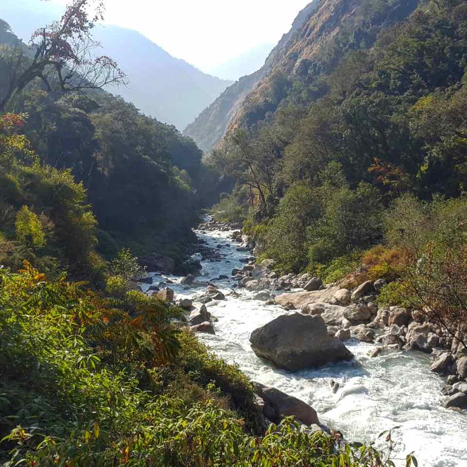 IMG_20181105_200219_889