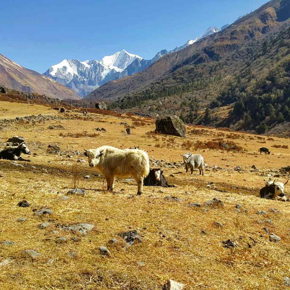 IMG_20181109_181043_895