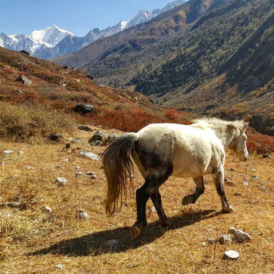 IMG_20181109_181043_897