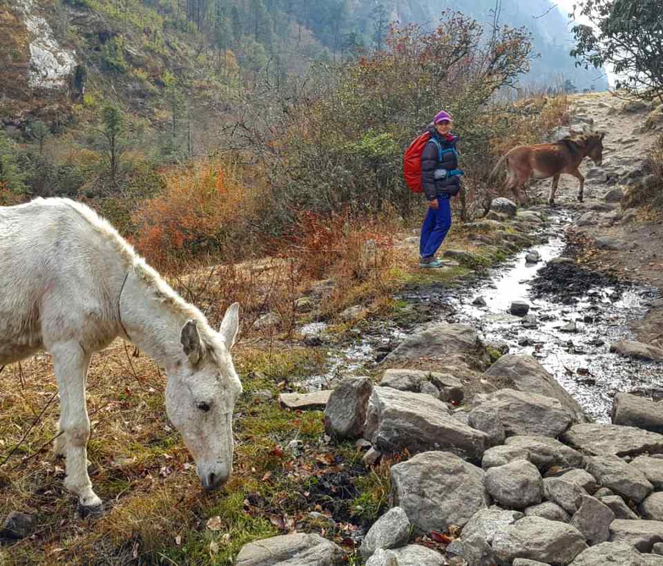 IMG_20181111_205611_719