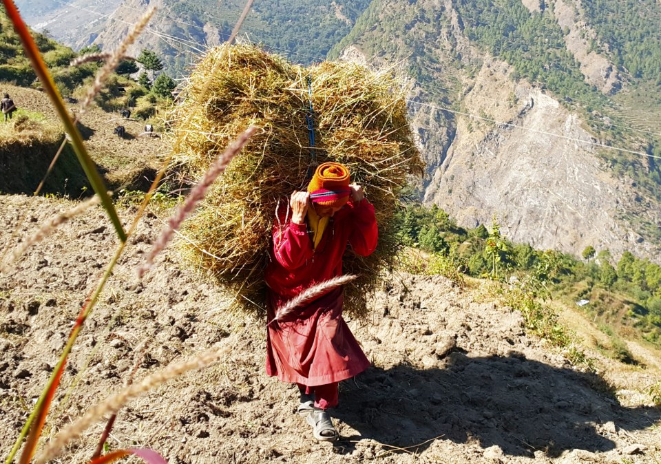 PicsArt_11-15-08.16.26