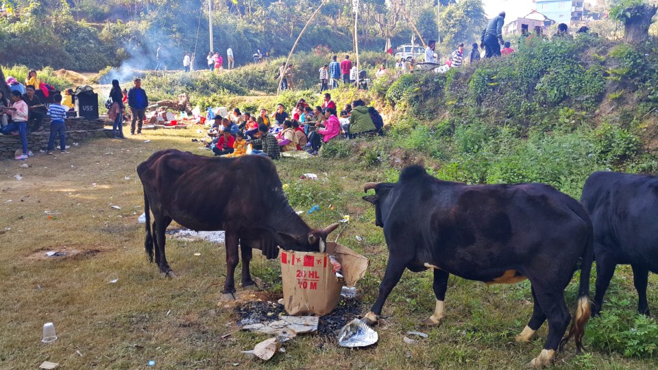 PicsArt_11-20-09.24.34