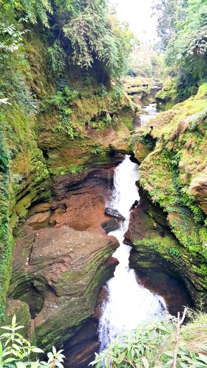 PicsArt_11-21-10.16.09