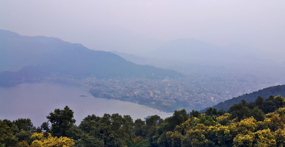 PicsArt_11-21-10.18.24