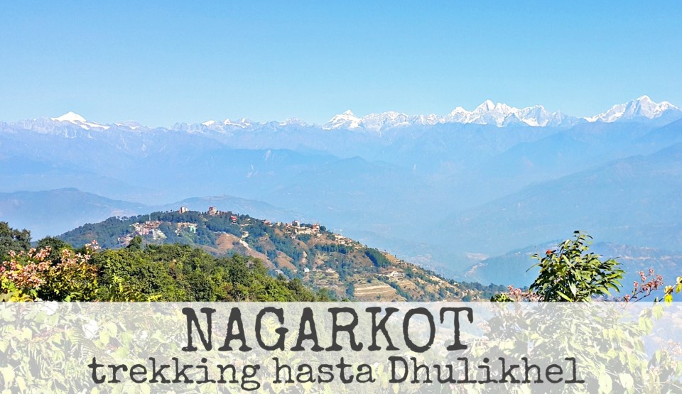 PicsArt_12-16-11.53.55