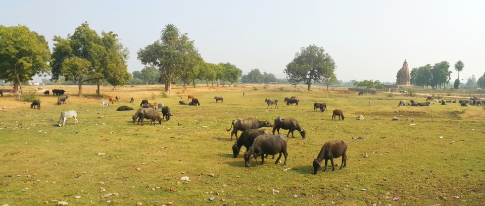 PicsArt_12-24-07.14.22