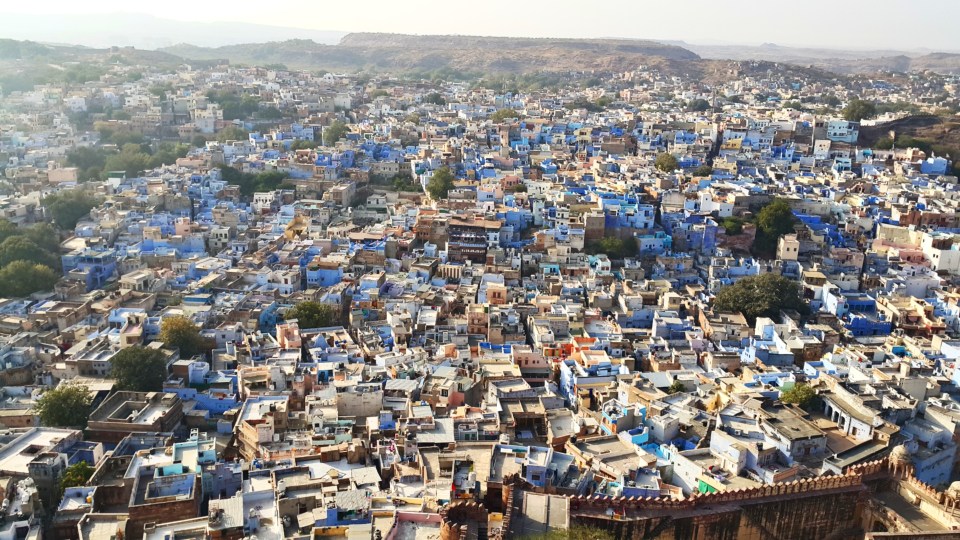 picsart_01-13-03.15.58