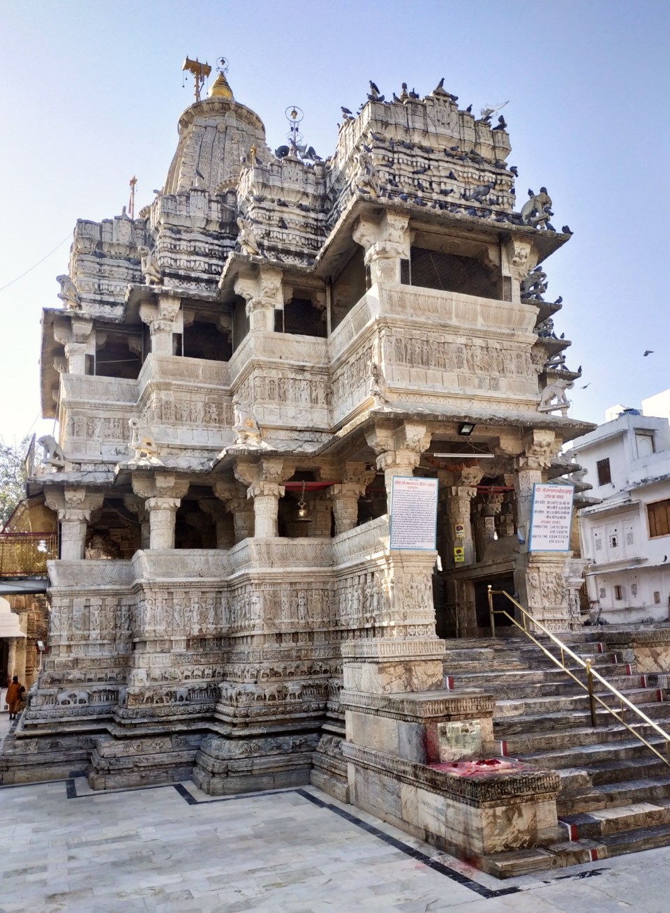 PicsArt_02-08-05.34.34