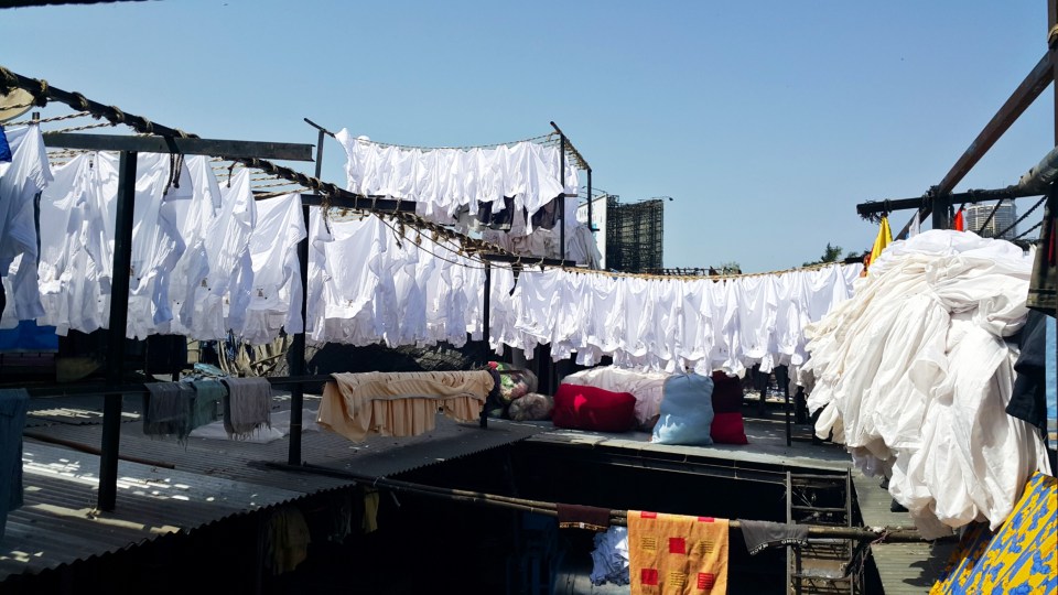 PicsArt_02-09-02.48.43