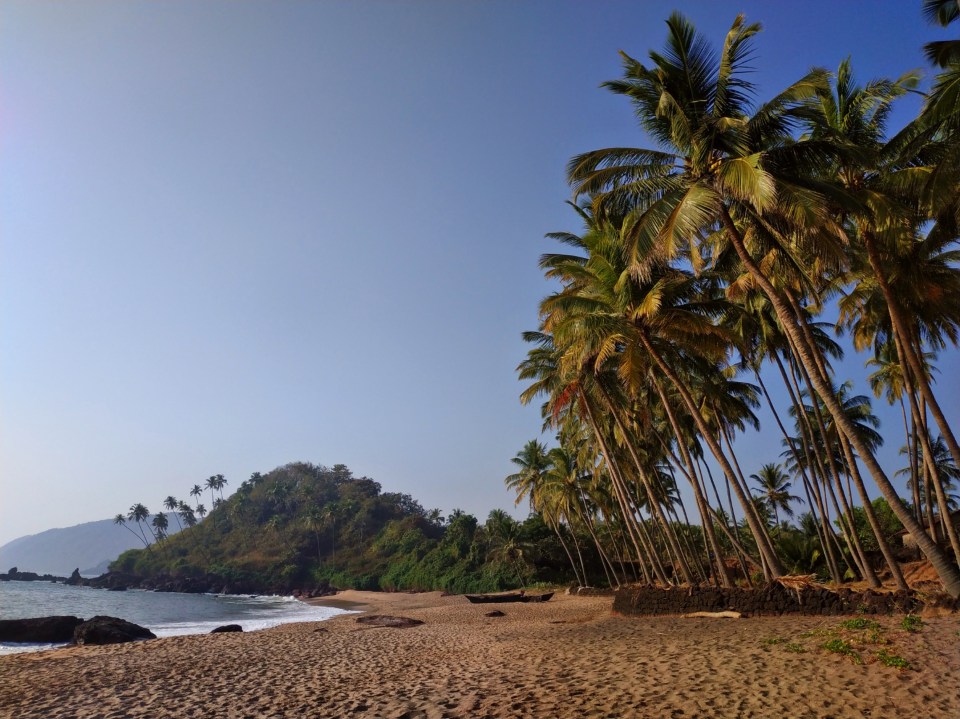 PicsArt_02-25-02.40.43