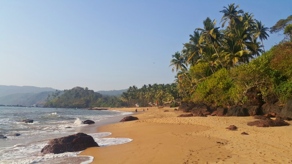 PicsArt_02-25-04.16.30