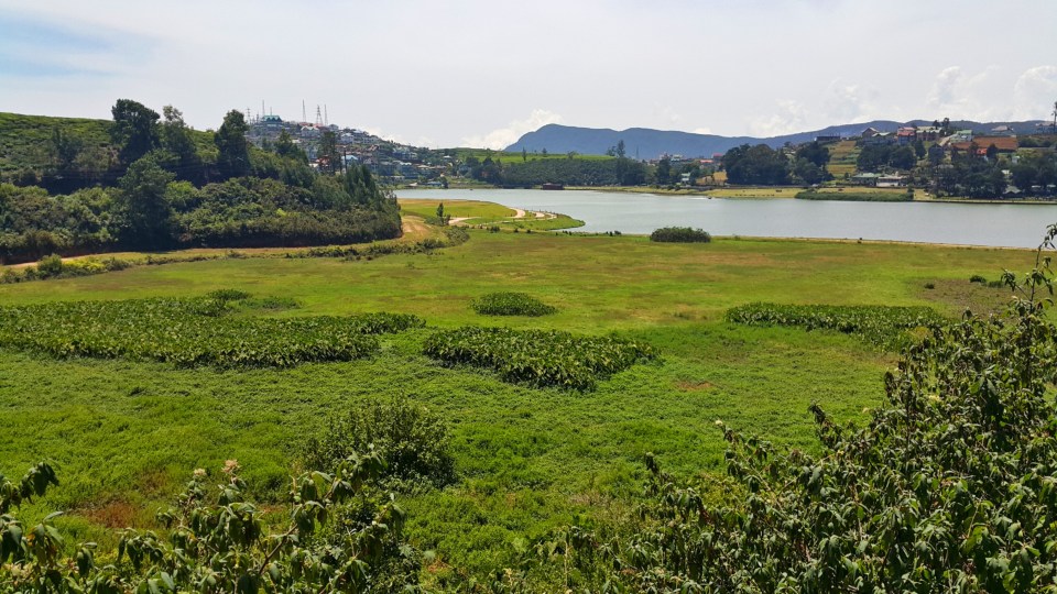 PicsArt_04-24-08.19.55