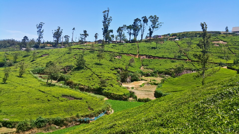 PicsArt_04-24-08.20.31