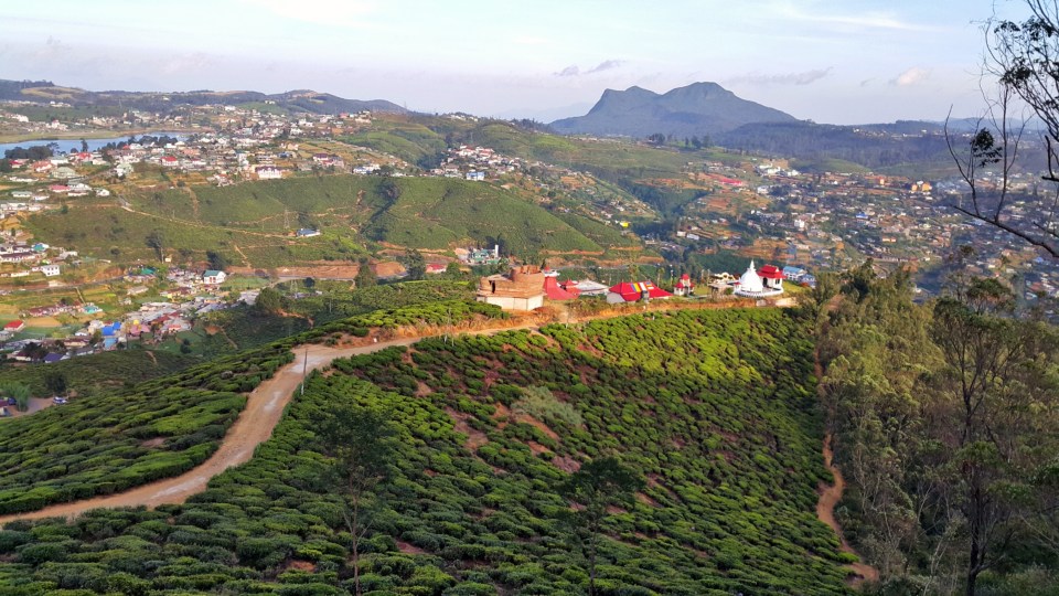 PicsArt_04-24-08.22.51