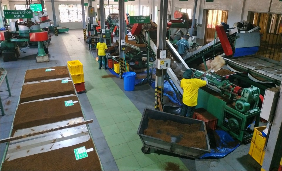 PicsArt_04-24-08.36.38