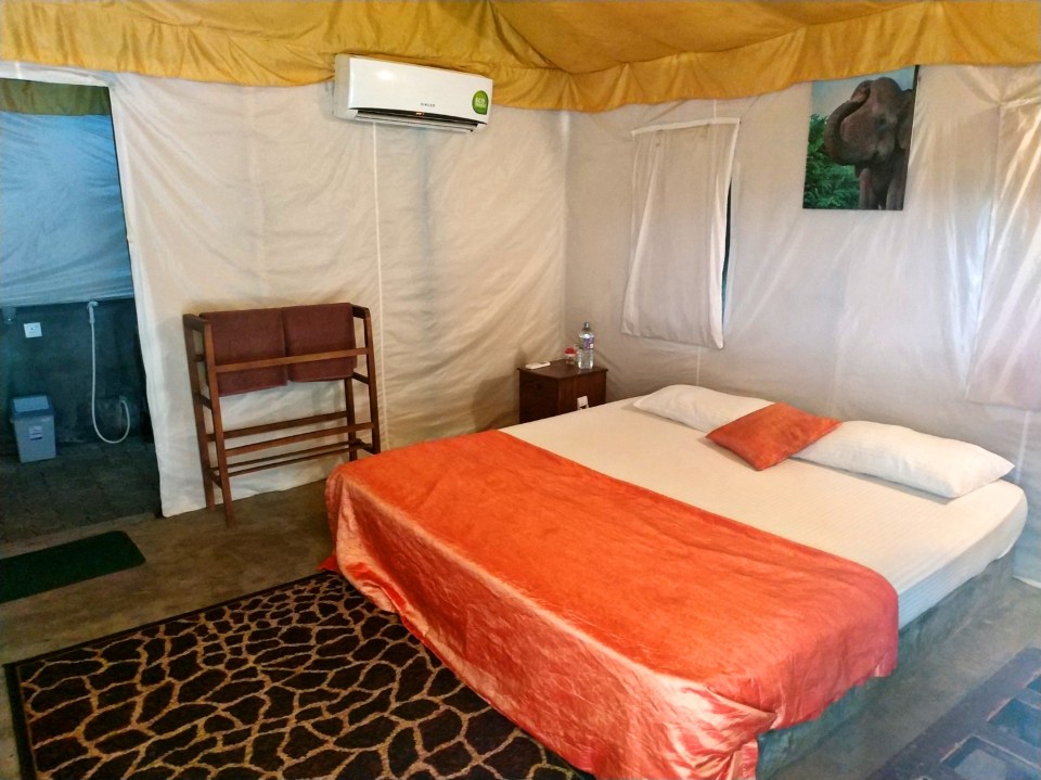 PicsArt_05-11-05.47.57